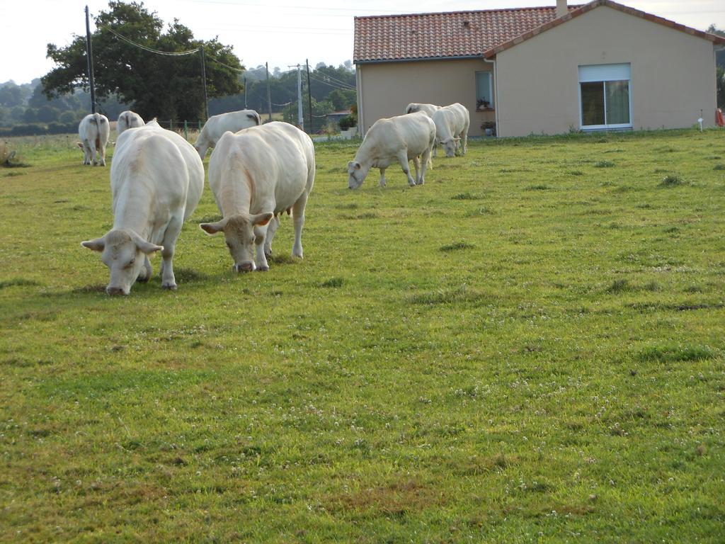 Chambre D'hôtes La Basse Gougeonnière Neuvy-en-Mauges Exterior foto